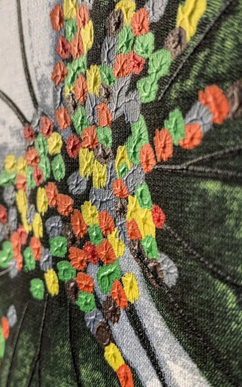 Butterfly Embroidered Summer Tee